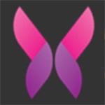 野花视频下载官网在线观看
