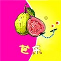 麻豆md传媒md0049入口