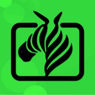 最美情侣高清免费视频播放