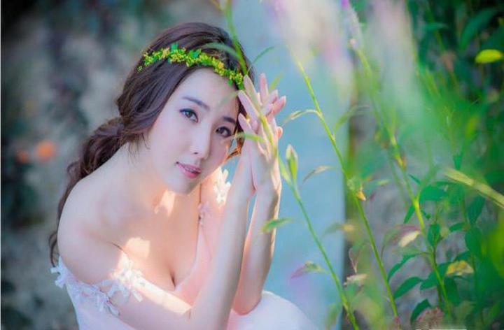 胚胎发育阶段